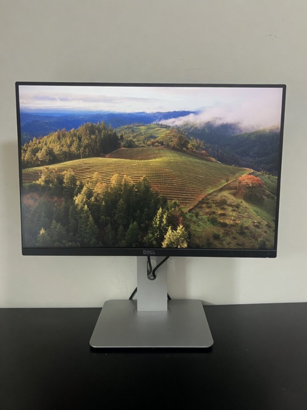 Negotiable - Dell UltraSharp 24" Monitor
